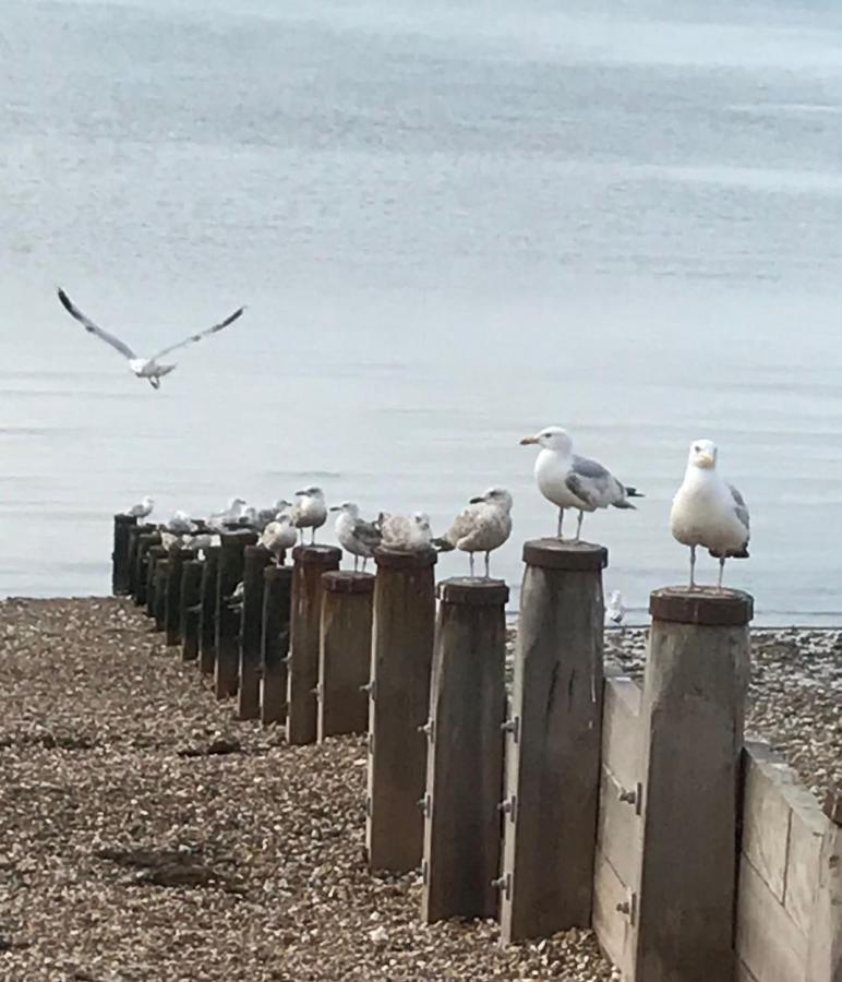 Apartamento Once Upon A Tide Herne Bay Exterior foto