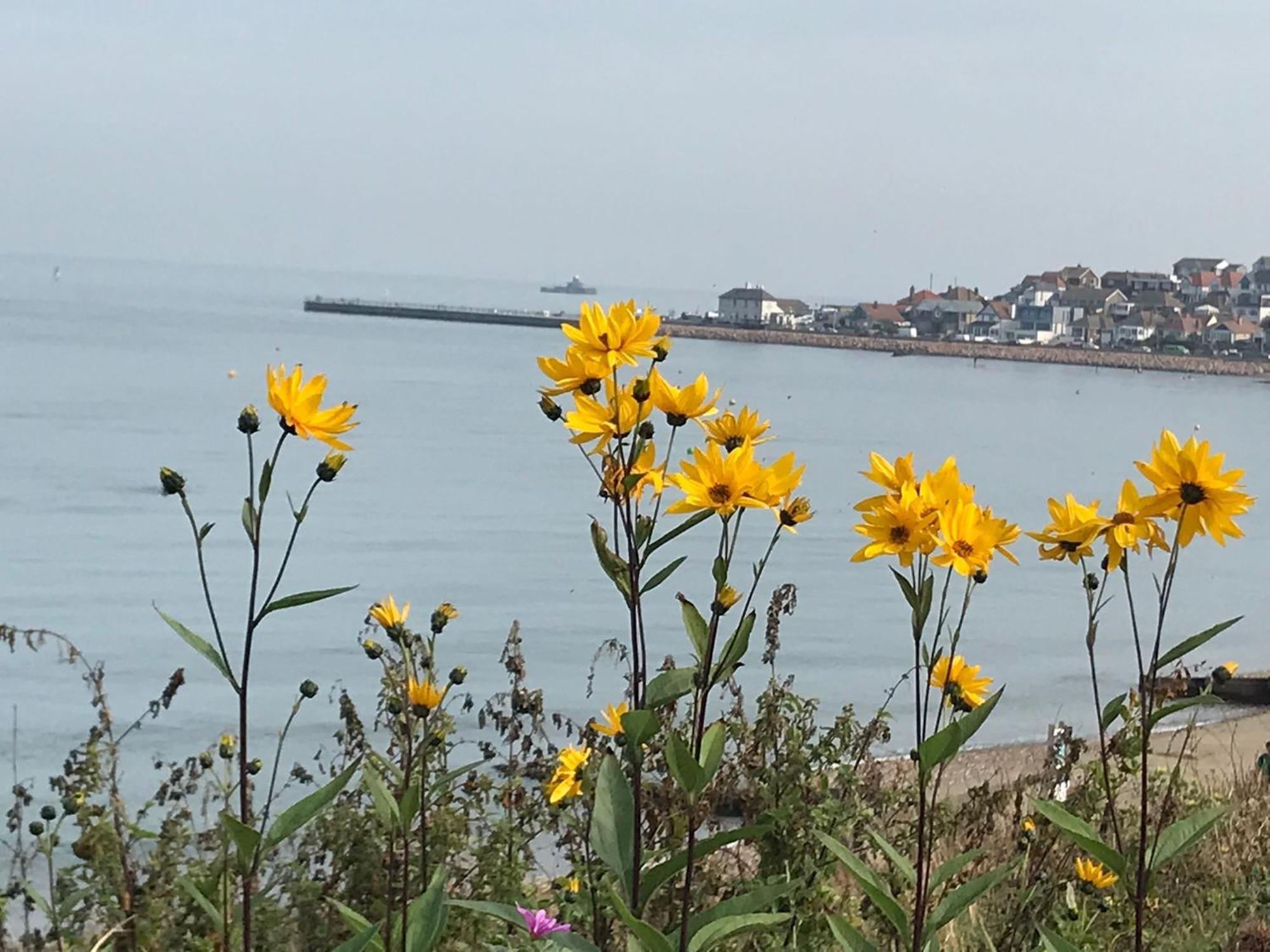 Apartamento Once Upon A Tide Herne Bay Exterior foto